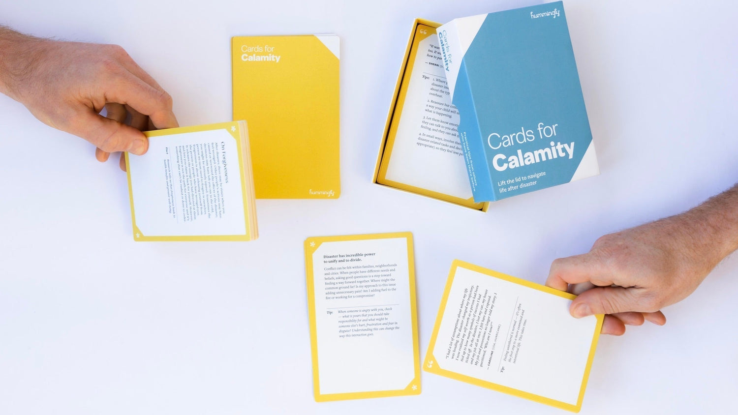 Navigating disaster recovery with Hummingly