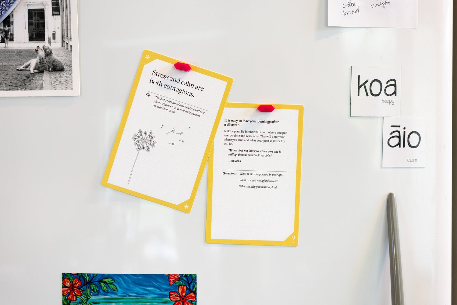 Hummingly's Cards for Calamity