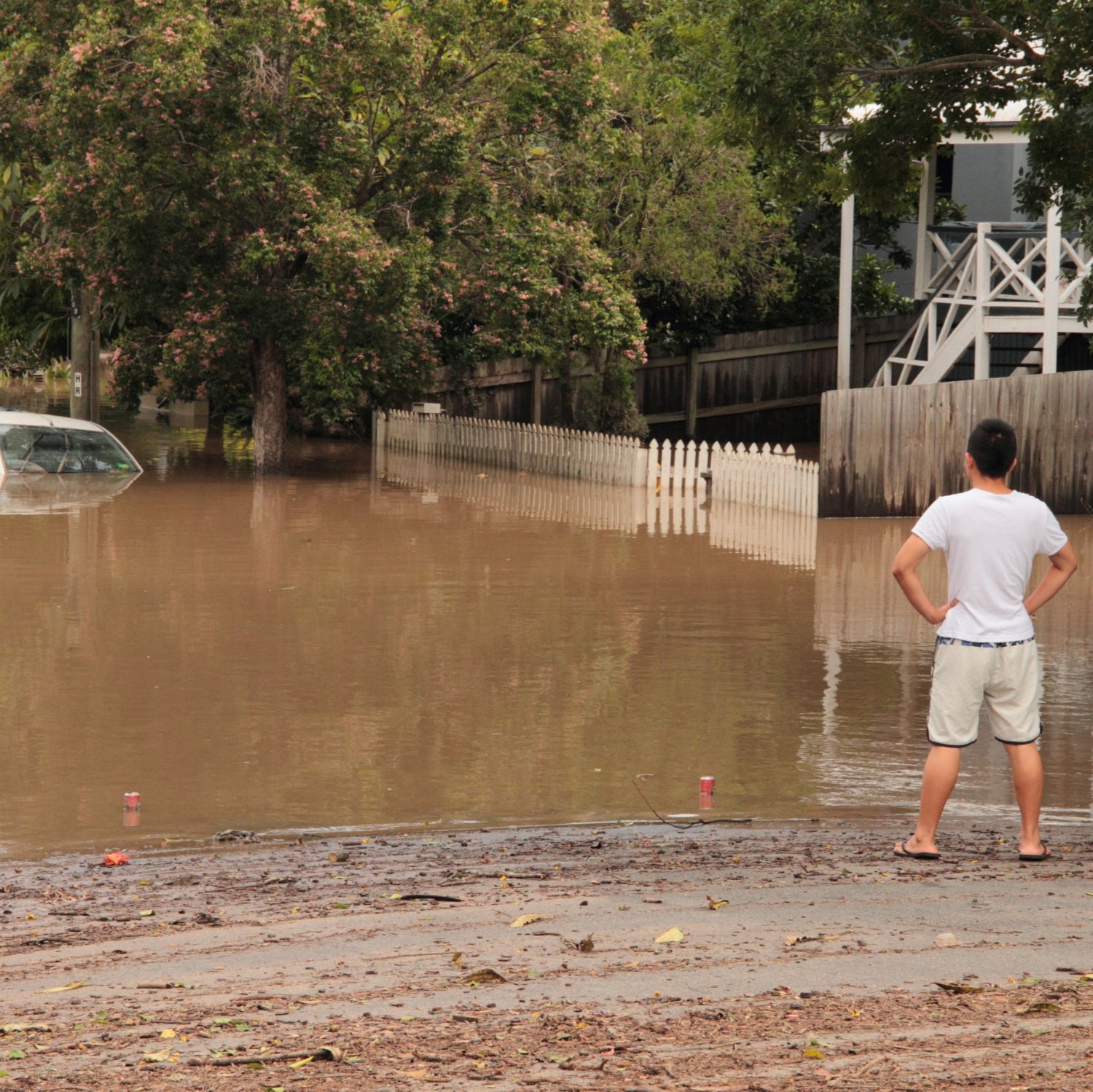 Hummingly supporting flood disaster